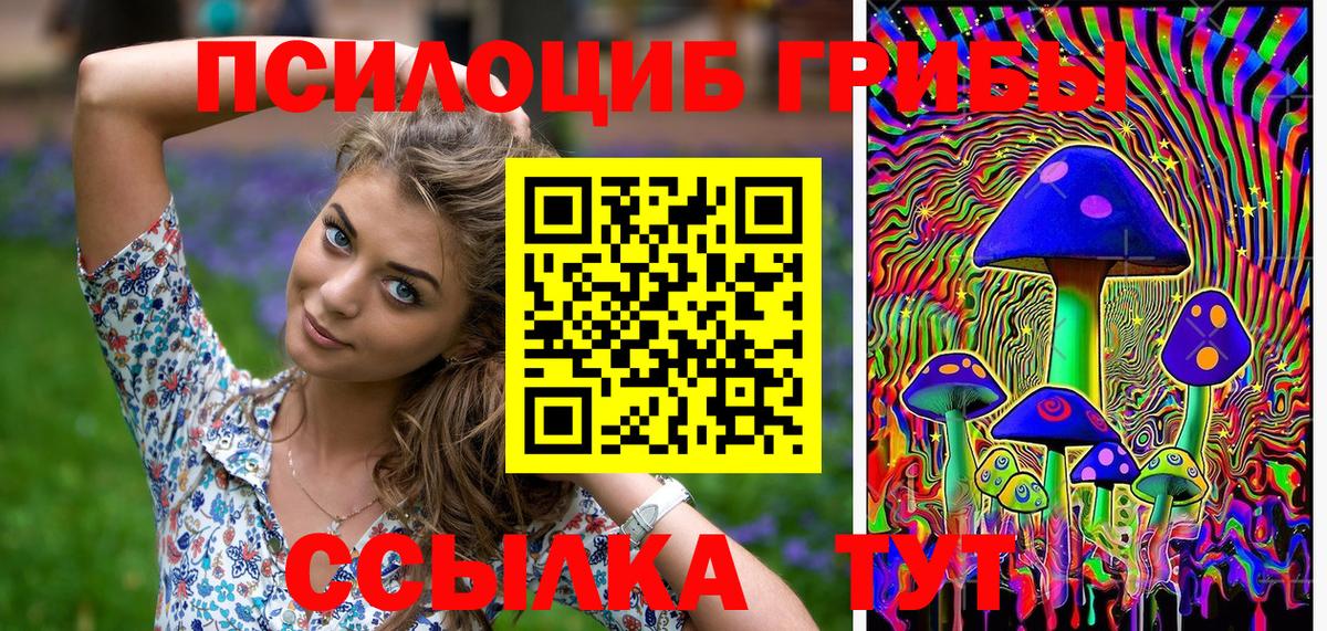 Псилоцибиновые грибы Psilocybe  Вход с VPN  Псилоцибиновые грибы MAGIC MUSHROOMS  Усинск 