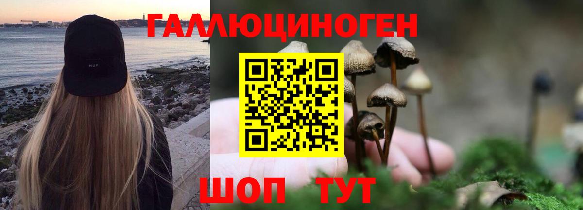 Галлюциногенные грибы Cubensis Усинск
